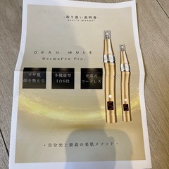 セルフダーマペン新品未使用
の画像
