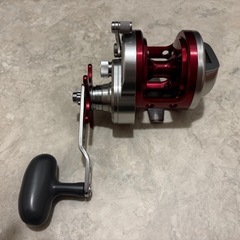 ダイワ　トーナメント石鯛Z30の画像