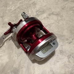 ダイワ　トーナメント石鯛Z30の画像