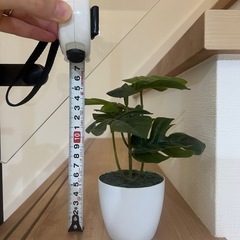 フェイクグリーンの画像