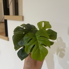 フェイクグリーンの画像