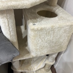 キャットタワーの画像