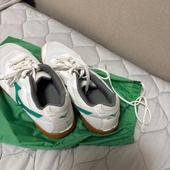 美品　体育館履きの画像