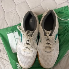 美品　体育館履きの画像