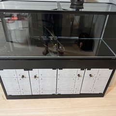 120cm水槽　エーハイム2273の画像