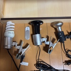 フトアゴ　飼育セット　フトアゴヒゲトカゲ　リクガメ　　の画像