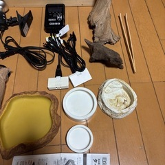 フトアゴ　飼育セット　フトアゴヒゲトカゲ　リクガメ　　の画像