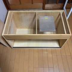 フトアゴ　飼育セット　フトアゴヒゲトカゲ　リクガメ　　の画像