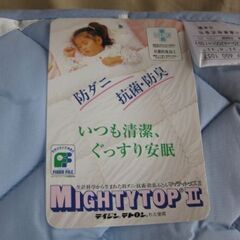 西川製・ベッドパッド・ブルーとピンク各１枚の画像