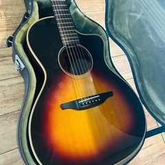 VG vg-00FX アコースティックギターの画像