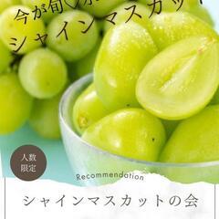 9/9㈫14:30静岡県三島市☆シャインマスカット交流会