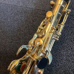 アンティグア　アルトサックス　金メッキ　スタンダード　軽量ケース　美品　￥24.5万　ANTIGUA ALTO SAX GP-TONEの画像