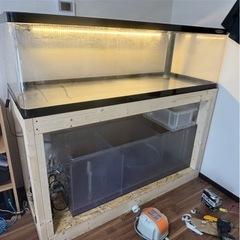水槽　大型水槽　最終値下げ　
※生体は含みませんの画像