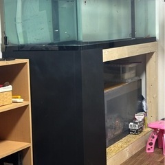 水槽　大型水槽　最終値下げ　
※生体は含みませんの画像