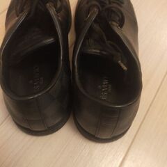 ルイヴィトン靴、ノースフェイスダウンの画像