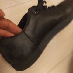 ルイヴィトン靴、ノースフェイスダウンの画像