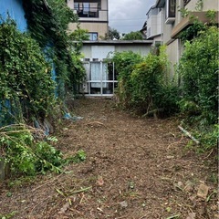 気仙沼 岩月 戸建ての庭 草刈り 戸建てについてるツタ 処分して2万の画像