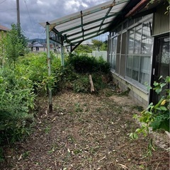 気仙沼 岩月 戸建ての庭 草刈り 戸建てについてるツタ 処分して2万の画像