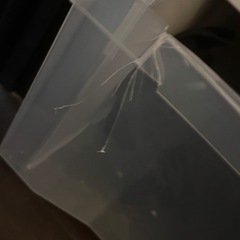引き出し収納の画像