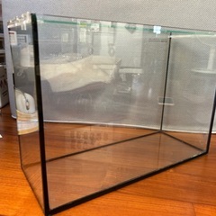 ガラス水槽 コトブキの画像