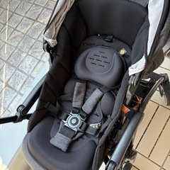 コンビ　スゴカルminimoの画像