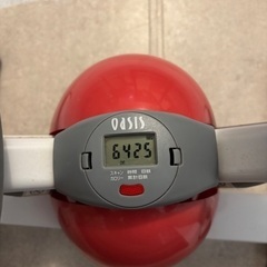 オアシス　ステッパーの画像