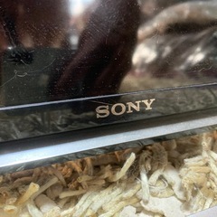 ［SONY］テレビの画像
