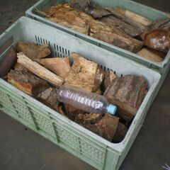■乾燥済み　薪　約31キロ【数量限定】0828の画像