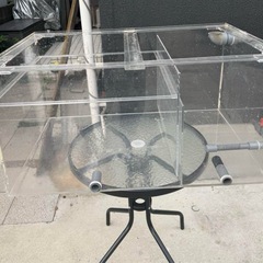熱帯魚水槽2mの画像