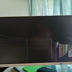 【無料】NEC 液晶モニター MultiSync® E221N (ジャンク品・画面表示不良)の画像