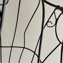 恵庭　取りに来れる方　トルソー　レディース　ワイヤータイプ？？　ブラック　の画像