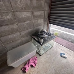 急募　廃棄物の画像