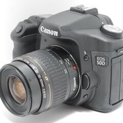高速レスポンス　多彩機能　Canon EOS 50D 美品　初心者にも最適の画像