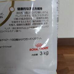 ロイヤルカナン柴犬子犬用3kg(未開封)/1000円の画像