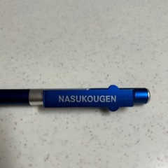 NASUKOUGEN 青色 LEDライト付きボールペン おみやげ品の画像