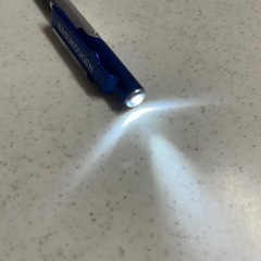 NASUKOUGEN 青色 LEDライト付きボールペン おみやげ品の画像