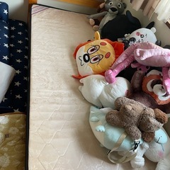 シングルベットの画像