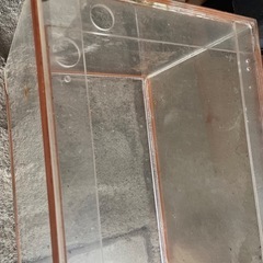 水槽 大きめの画像