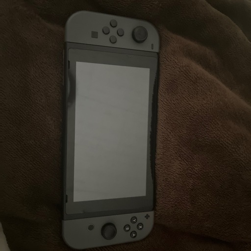 その他 Nintendo Switch