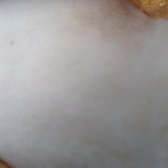 綿大量の画像