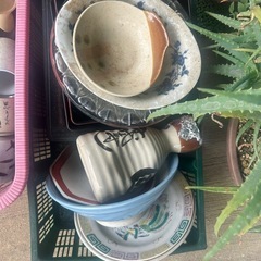 無料　食器　グラスの画像