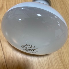 レアランプ(室内用)の画像