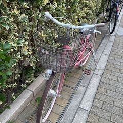 サイクルベースあさひ☆ガールズラボの画像