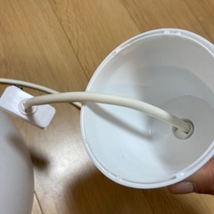 電球(おしゃれ)の画像