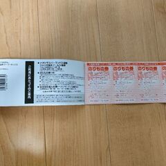 長島ジャンボ海水プール入場券と長島スパーランド入場券の画像