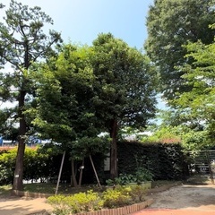【保育園/調理員】お給食やおやつで、子どもたちを笑顔にしませんか？の画像
