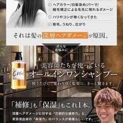 髪質補修 オールインワン サロンシャンプー 500ml アミノ酸 ノンシリコンの画像
