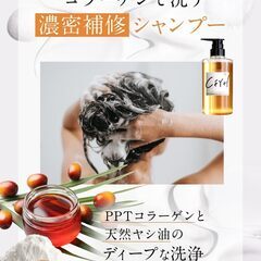 髪質補修 オールインワン サロンシャンプー 500ml アミノ酸 ノンシリコンの画像