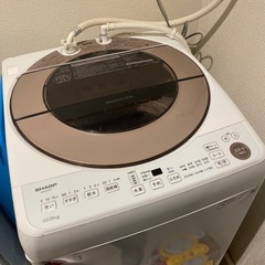 乾燥機付き10キロ縦型洗濯機の画像