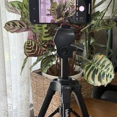 スマホ用　Velbonミニ三脚　+　Ulanziスマホホルダー + おまけ　ビデオ三脚の画像